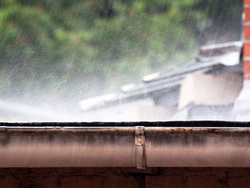 Gutter Cleaning Services